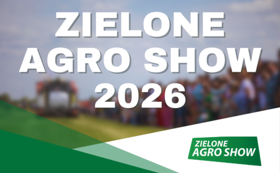Strona główna